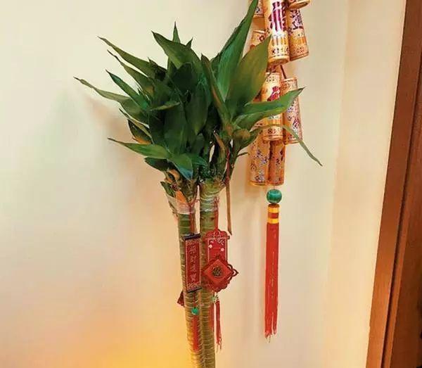 李嘉欣望子成龍，秘請風水師助陣兒子學業，8歲兒今讀名校成學霸！