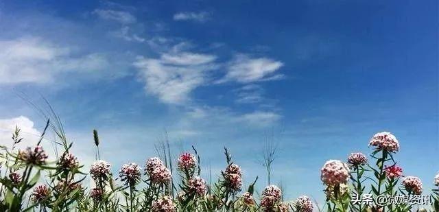 青海，最好吃的羊肉在哪裡
