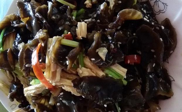 鮮香爽口的20道木耳做法，做法超簡單，味道特鮮嫩！