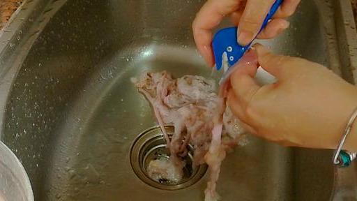 央視大型紀錄片，尋味順德，沒加上這道美食真的不完美