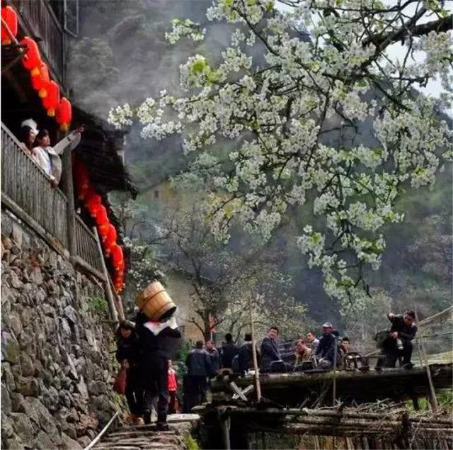浙江龍泉車盤坑村----500年歷史的古村落
