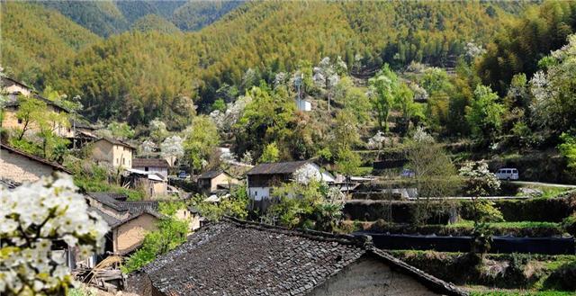 浙江龍泉車盤坑村----500年歷史的古村落