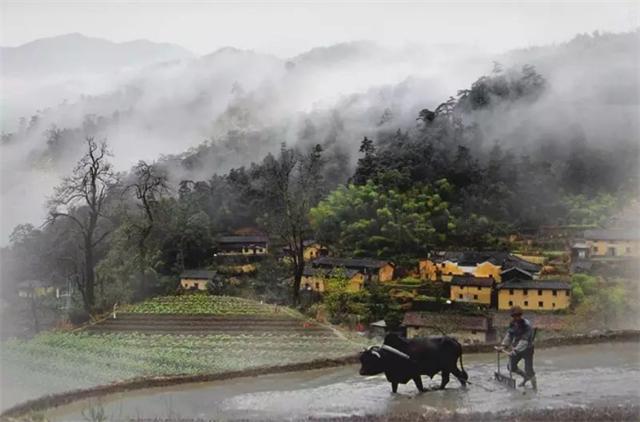 浙江龍泉車盤坑村----500年歷史的古村落