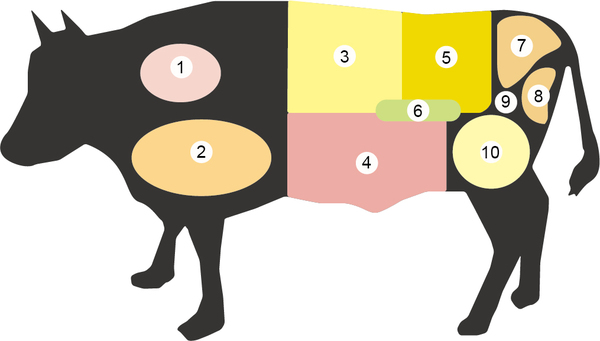 想在日本吃燒肉非知道不可！「牛肉」燒肉的完全指南！