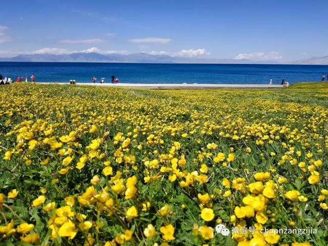 2019北疆經典大環線全景遊覽，領略北疆人文風情，欣賞壯美地貌