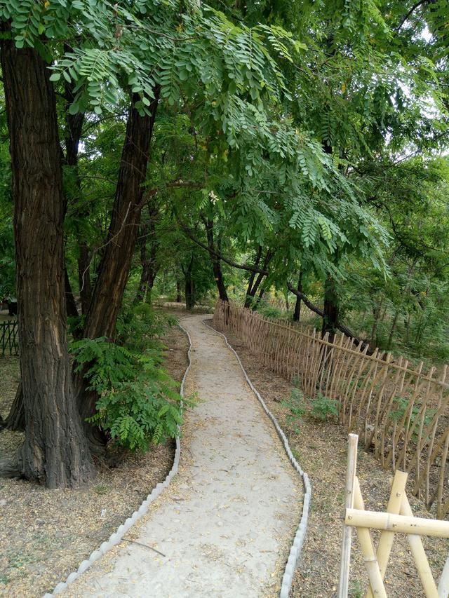 正定至平山滹沱河旅遊觀光大道、野槐林、沙洲灣遊記