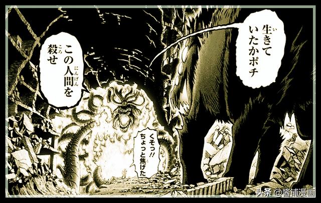 《一拳超人》150話：龍級實力的波奇真可愛，埼玉會成為波奇的好主人