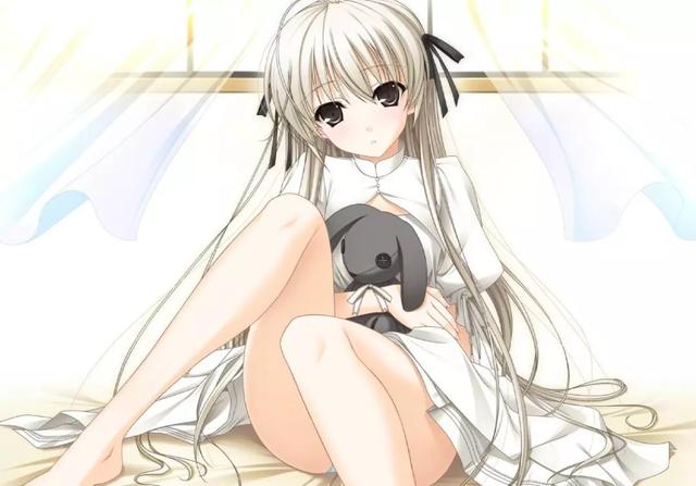 大人向遊戲改編動畫，有的成為經典，有的成為神作