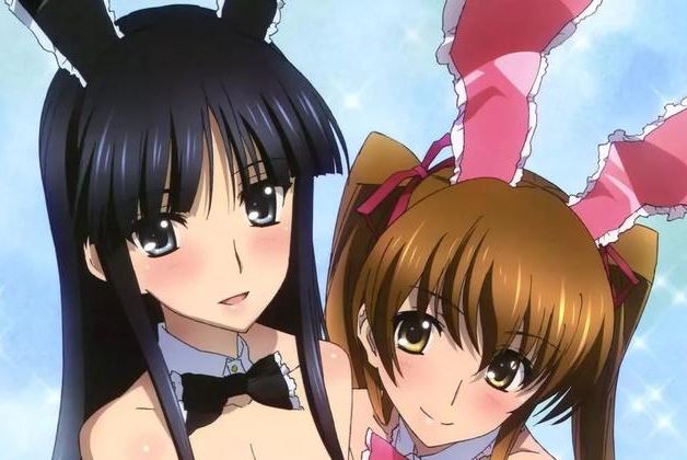 大人向遊戲改編動畫，有的成為經典，有的成為神作