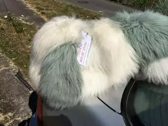 老人打破車窗，救出被困狗狗，結果大家都笑了
