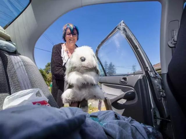老人打破車窗，救出被困狗狗，結果大家都笑了