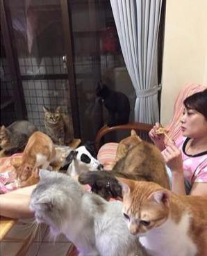 一開零食「立刻被包圍」：鏟屎的~把好吃的叫出來~主人一臉淡定 直接無視
