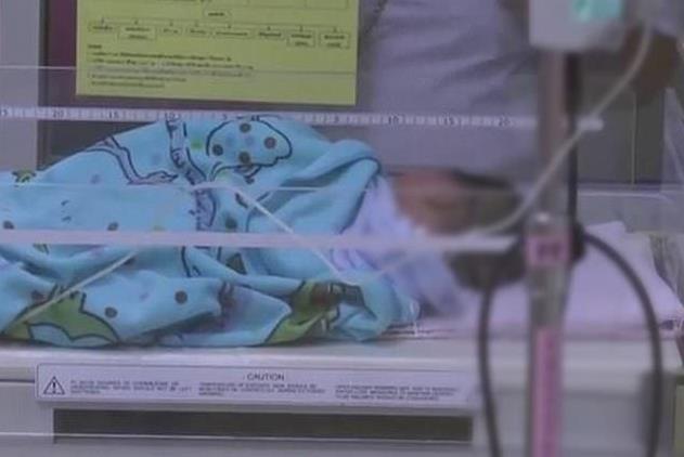 三條腿狗狗將被埋嬰兒救出，15歲女孩：怕被媽媽罵才這樣做的