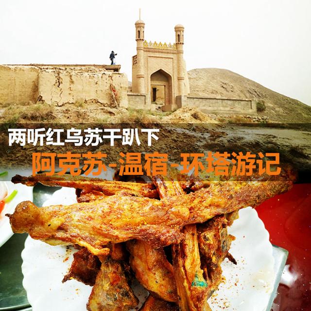 兩聽紅烏蘇干趴下 阿克蘇-溫宿-環塔遊記