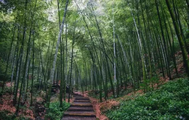 溧陽----不輸給蘇杭美景