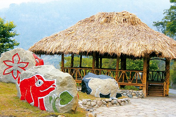 賞螢喝咖啡愜意旅行 嘉義六大景點二日遊