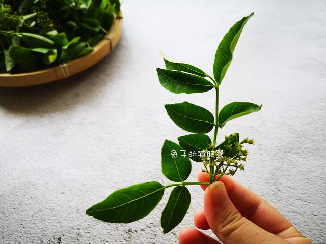 5月，這芽菜別錯過，酥脆鮮香，祛濕好食材，饞了1年終於吃到了