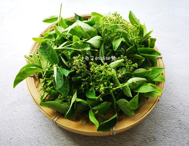 5月，這芽菜別錯過，酥脆鮮香，祛濕好食材，饞了1年終於吃到了