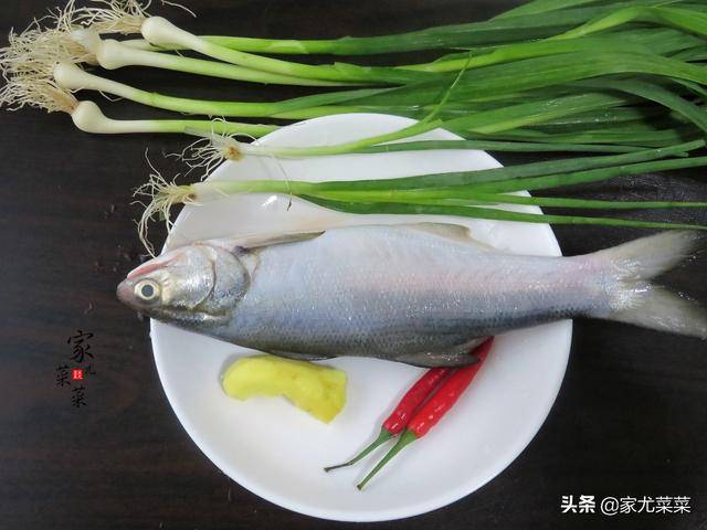 史上最全的魚類做法集合，喜歡吃魚的家庭快來看看，收藏好試一下