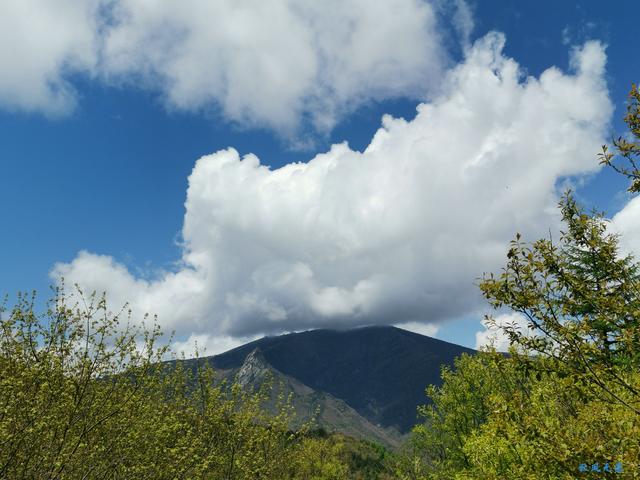 草甸、杜鵑、峻峰，秦嶺之巔初夏聽風心曠神怡