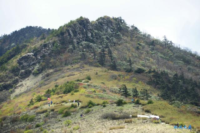 草甸、杜鵑、峻峰，秦嶺之巔初夏聽風心曠神怡