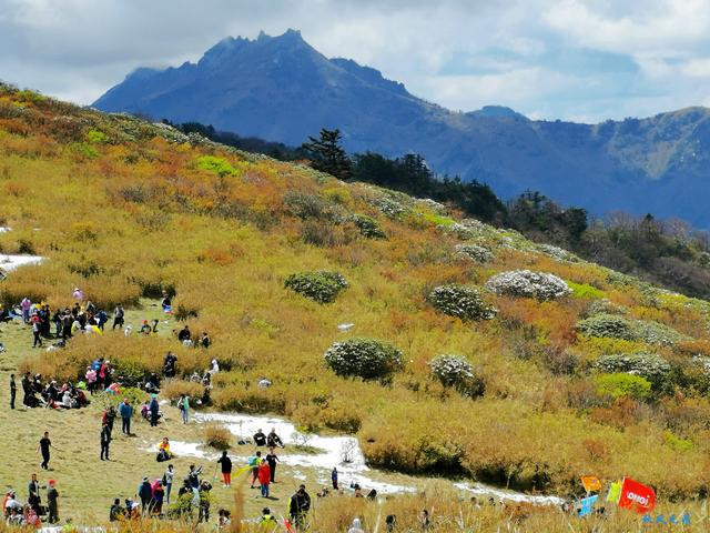 草甸、杜鵑、峻峰，秦嶺之巔初夏聽風心曠神怡