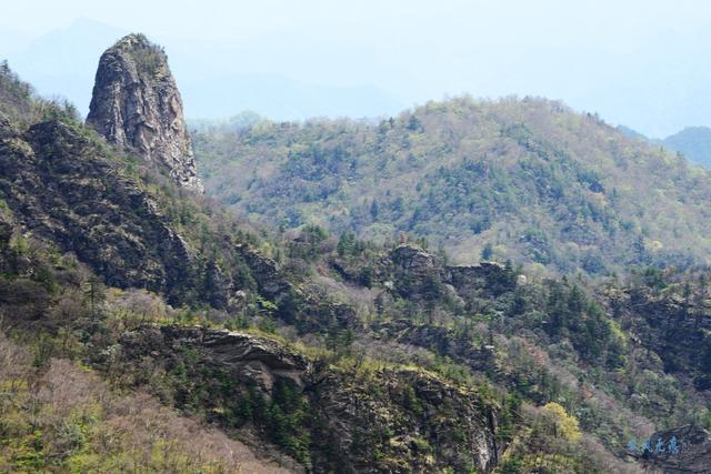 草甸、杜鵑、峻峰，秦嶺之巔初夏聽風心曠神怡