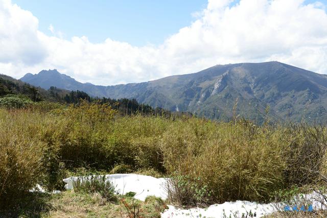 草甸、杜鵑、峻峰，秦嶺之巔初夏聽風心曠神怡