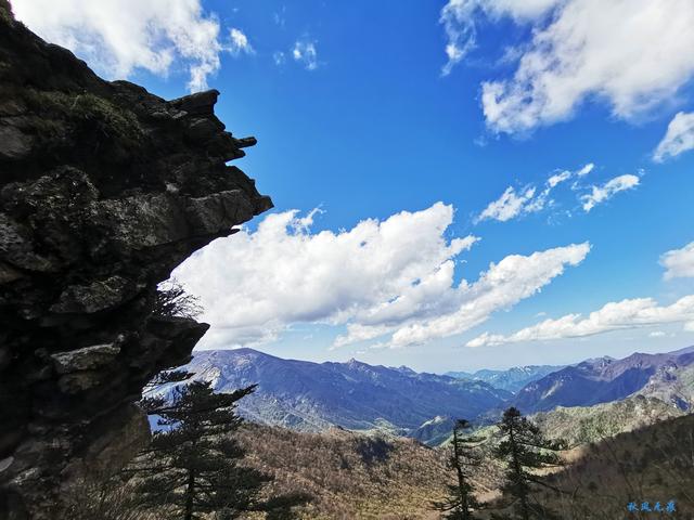 草甸、杜鵑、峻峰，秦嶺之巔初夏聽風心曠神怡