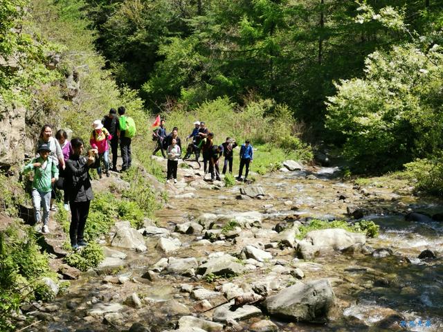 草甸、杜鵑、峻峰，秦嶺之巔初夏聽風心曠神怡