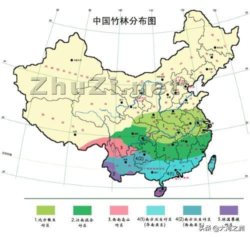 尋味中原——啥？河南人吃不到河南的竹筍？