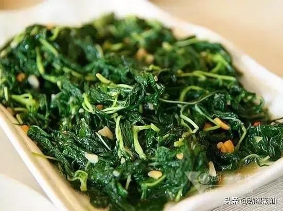 這種號稱最貴的青菜，估計只有潮汕人才懂得欣賞...