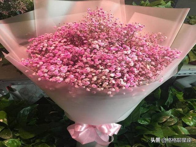 2019年下半年，這些星座桃花運最旺，事業運緊隨其後