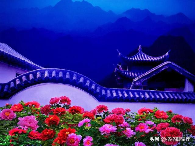 2019年下半年，這些星座桃花運最旺，事業運緊隨其後