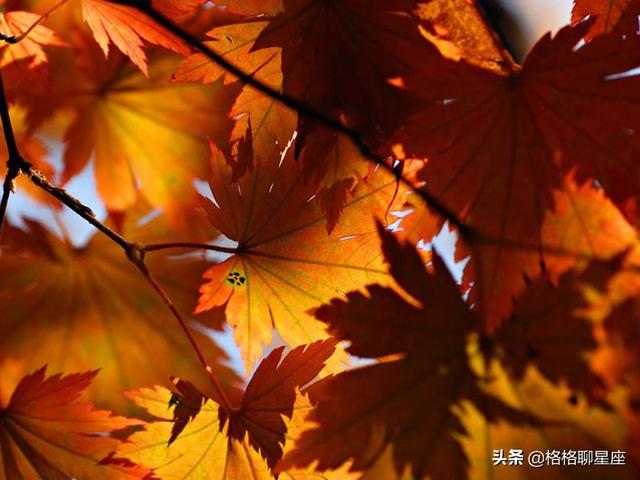 2019年容易遇見愛情的3個星座，距離修成正果也不遠了