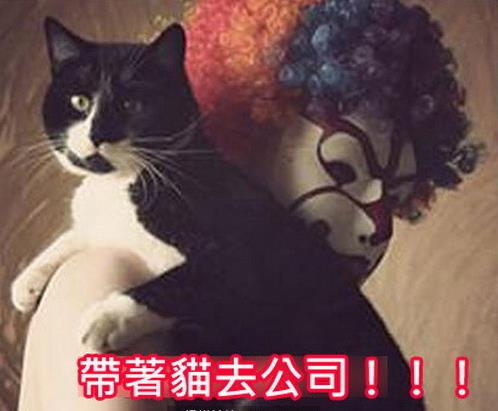 心血來潮用貓指紋做手機解鎖，結果劇情伸展開， 網友：從頭笑到尾XDDD