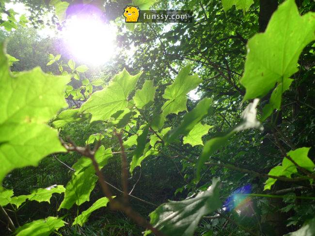 這就是「太陽消失後」地球會發生的12件事！﻿