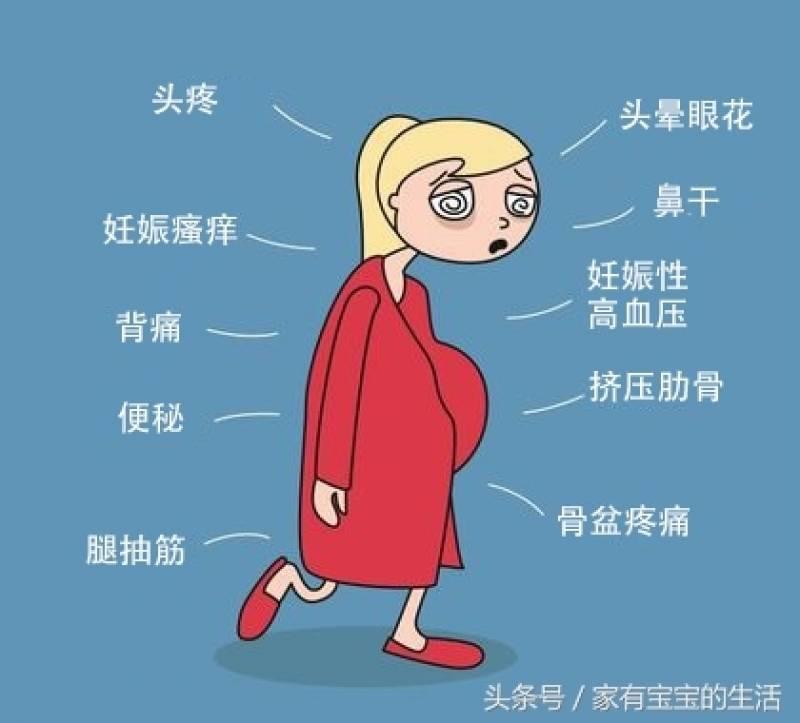 ８張漫畫告訴你孕婦們的心聲？﻿