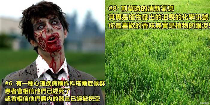 15則或許可以讓你嚇得心理發寒的詭異驚悚事實