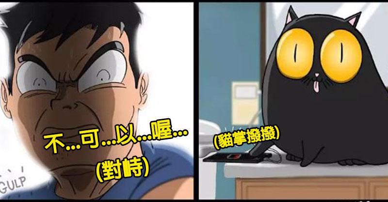16個「只有跟貓住才會懂」的爆笑貓奴日常　貓皇「狂盯某處看」就會忍不住開始緊張！