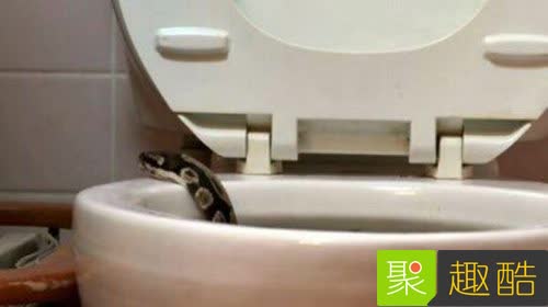 22張會讓你超後悔看到的「WTF照片」！#8 吃這個熱狗會得愛滋… 