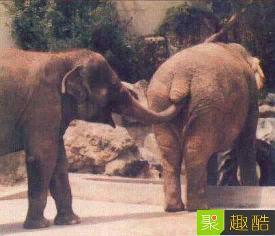 22張會讓你超後悔看到的「WTF照片」！#8 吃這個熱狗會得愛滋… 