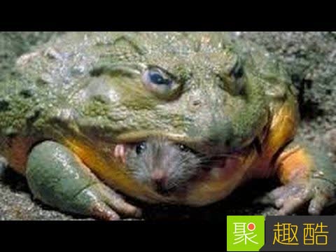 22張會讓你超後悔看到的「WTF照片」！#8 吃這個熱狗會得愛滋… 