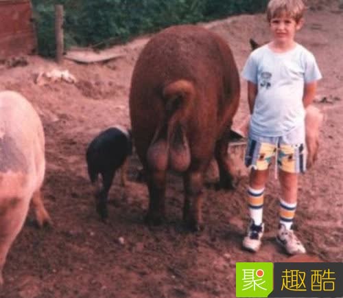 22張會讓你超後悔看到的「WTF照片」！#8 吃這個熱狗會得愛滋… 