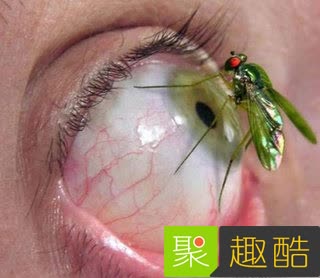 22張會讓你超後悔看到的「WTF照片」！#8 吃這個熱狗會得愛滋… 