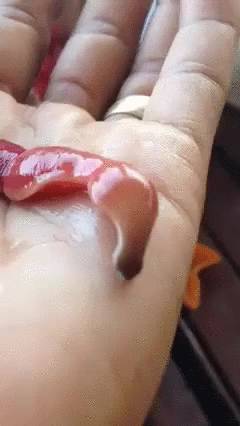 22張會讓你頭皮發麻到「以為自己3天沒洗頭」的驚悚圖片，你能夠全部看完嗎？