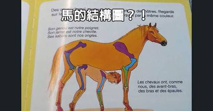 29本你小時候沒看懂的童書，現在看就會秒懂邪惡地笑出來了...