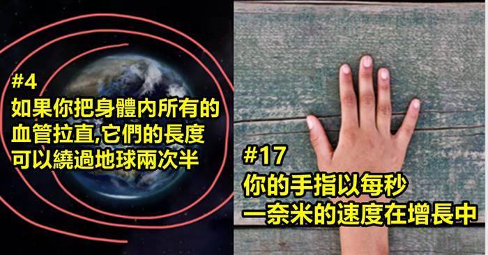 24個會讓你對自己的身體有更多的了解的事實