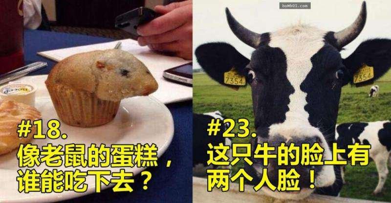 24張有趣的錯視照片，考驗一下自己的想像力吧！