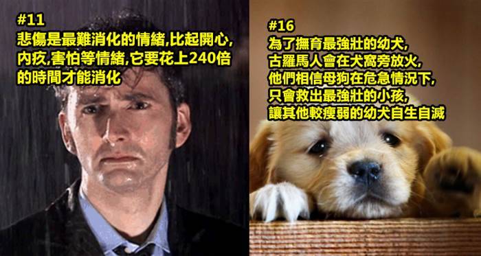 20個看了真的會「顛覆你的世界觀」的超驚奇冷知識...﻿